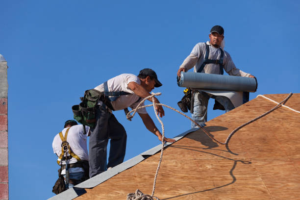 Best Tile Roofing Contractor  in Ashland, CA