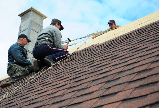 Quick and Trustworthy Emergency Roof Repair Services in Ashland, CA